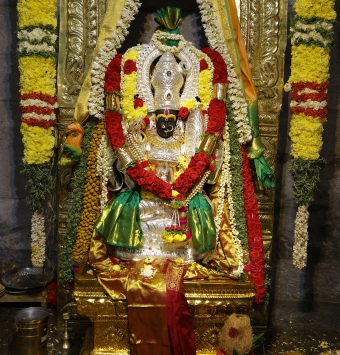 kamatchi amman temple Statue